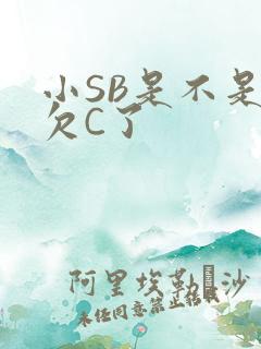 小SB是不是又欠C了