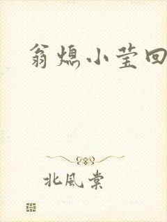 翁熄小莹回乡下