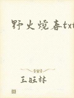野火烧春txt