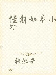 佳期如梦小说番外
