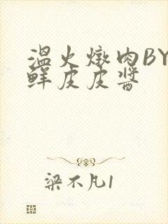 温火炖肉BY海鲜皮皮酱