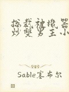 总裁被机器人爆炒双男主小说