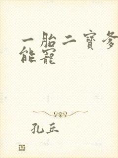 一胎二宝爹地超能宠