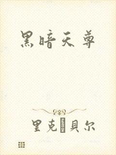 黑暗天尊