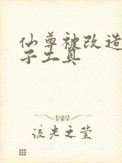 仙尊被改造成产子工具