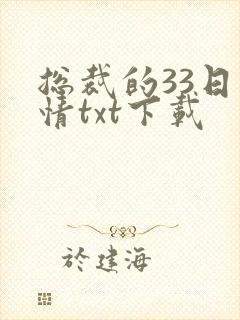 总裁的33日索情txt下载