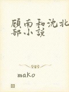 顾南和沈北是哪部小说