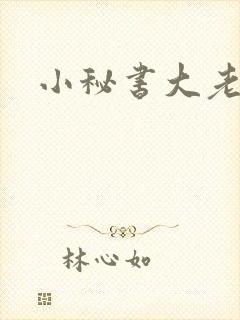 小秘书大老婆