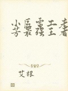 小区电工老周刘芳最强王者