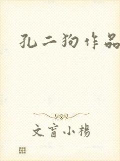 孔二狗作品