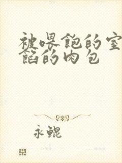 被喂饱的室友爆馅的肉包