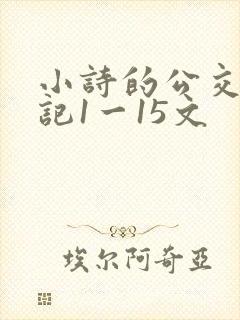 小诗的公交车日记1一15文