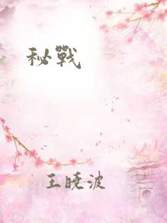 秘战