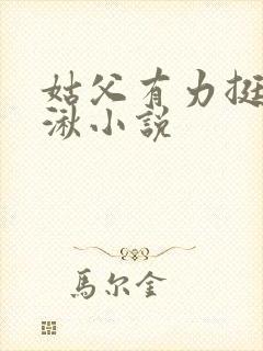 姑父有力挺送徐湫小说