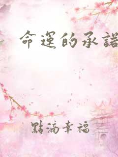 命运的承诺下载