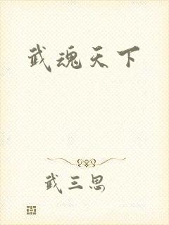 武魂天下