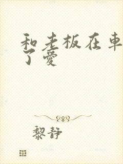 和老板在车里做了爱