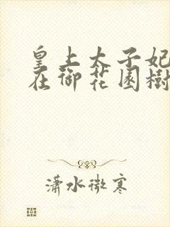 皇上太子妃沈音在御花园树上