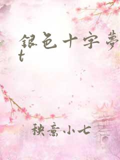 银色十字梦txt