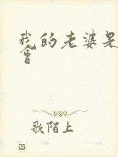 我的老婆是黑社会