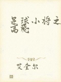 足球小将之展翅高飞