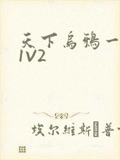 天下乌鸦一般黑1V2