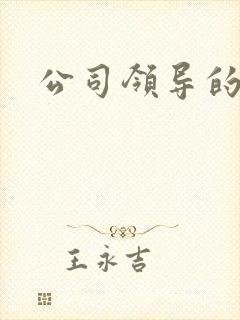 公司领导的老婆