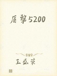 盾击5200