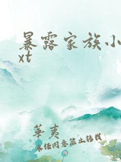 暴露家族小说txt