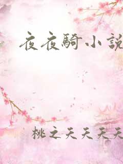 夜夜骑小说