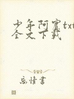 少年阿宾txt全文下载
