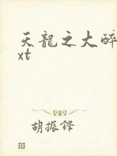 天龙之大醉侠txt