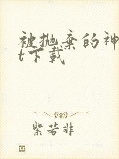 被抛弃的神txt下载