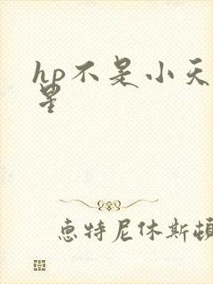 hp不是小天狼星
