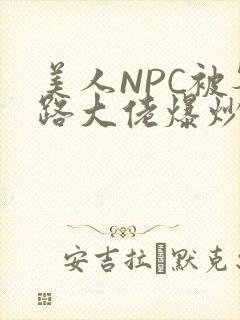 美人NPC被各路大佬爆炒小说