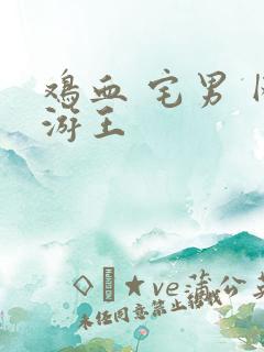 鸡血 宅男 网游王