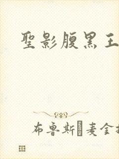 圣影腹黑王子帮