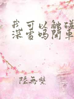 我可以触碰你的深处吗开车作文