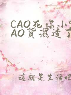 CAO死你小SAO货湿透了学长