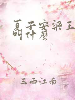 夏子安梁王书名叫什么