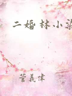 二婚 林小染