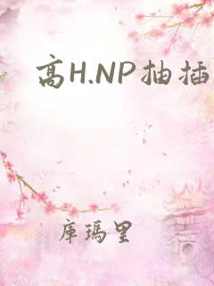 高H.NP抽插