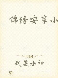锦绣安宁小说
