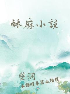 酥麻小说