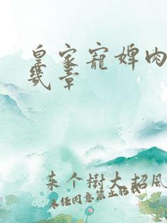 皇家宠婢肉在第几章