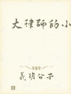 大律师的小老婆