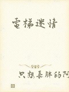 电梯迷情