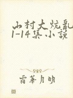 山村大炕乱肉续1-14集小说