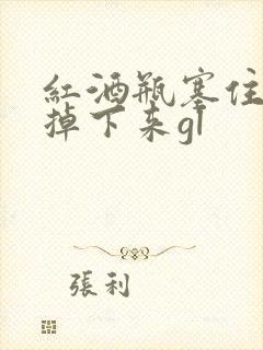 红酒瓶塞住不准掉下来gl