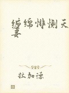 缠绵悱恻天价前妻